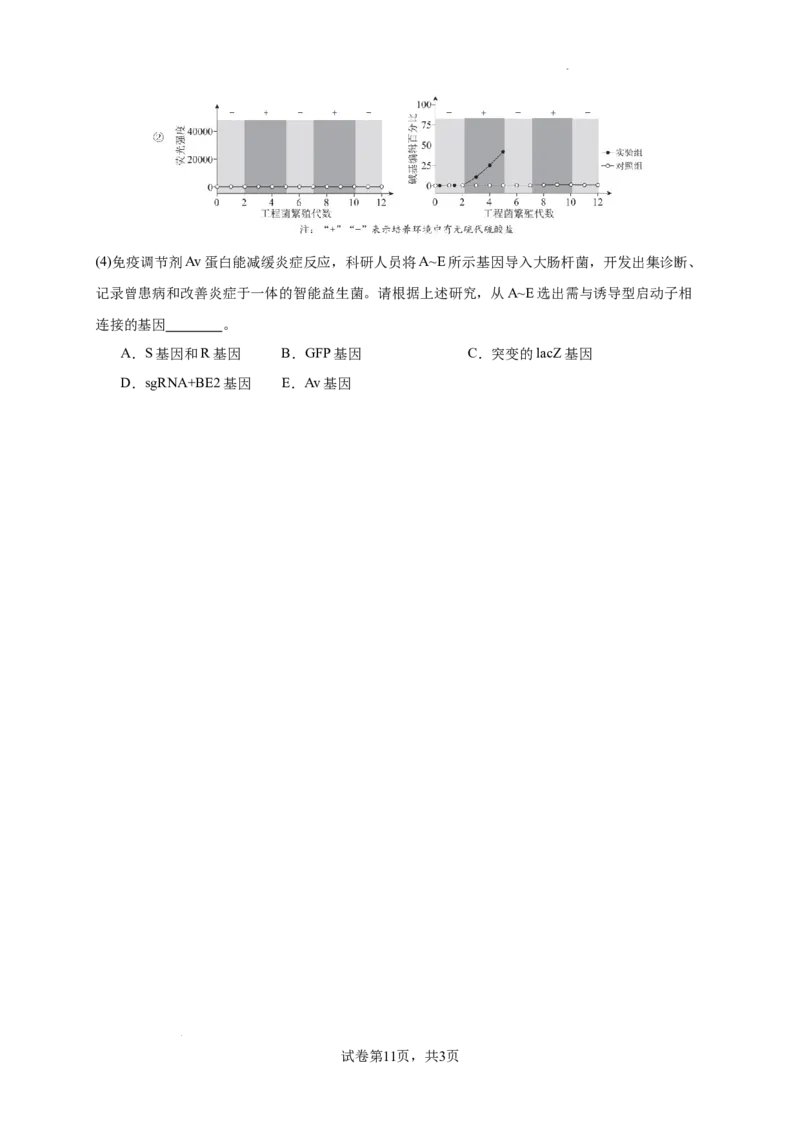 北京市西城区2024-2025学年高三上学期期末考试生物试卷_2025年1月_250117北京市西城区2024-2025学年高三上学期期末考试试题（全科）