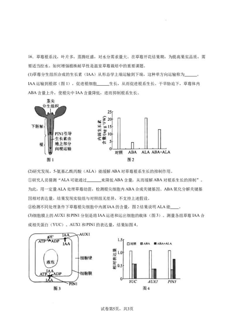 北京市西城区2024-2025学年高三上学期期末考试生物试卷_2025年1月_250117北京市西城区2024-2025学年高三上学期期末考试试题（全科）
