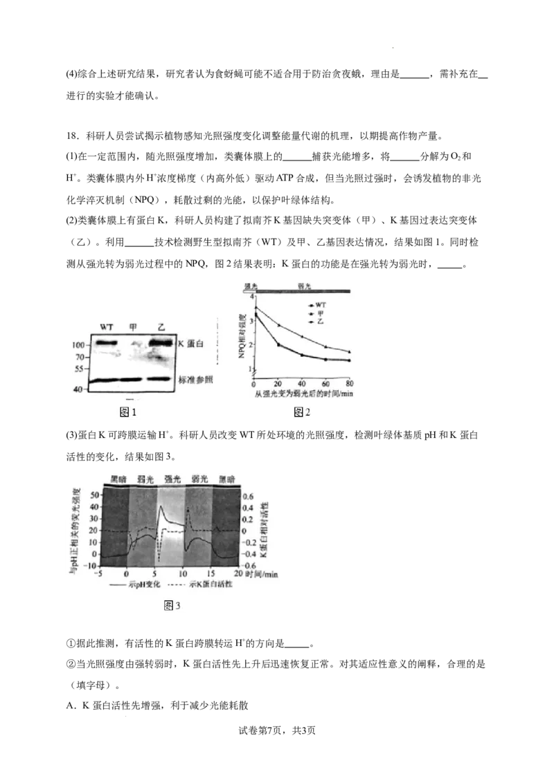 北京市西城区2024-2025学年高三上学期期末考试生物试卷_2025年1月_250117北京市西城区2024-2025学年高三上学期期末考试试题（全科）
