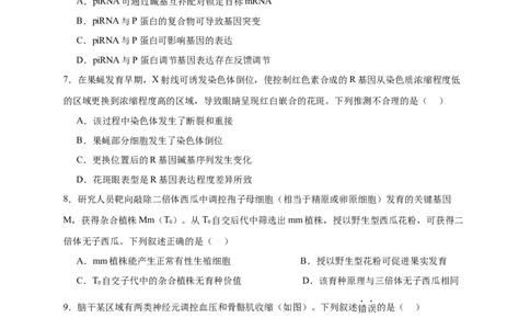北京市西城区2024-2025学年高三上学期期末考试生物试卷_2025年1月_250117北京市西城区2024-2025学年高三上学期期末考试试题（全科）