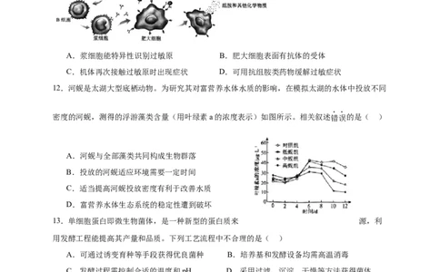 北京市西城区2024-2025学年高三上学期期末考试生物试卷_2025年1月_250117北京市西城区2024-2025学年高三上学期期末考试试题（全科）