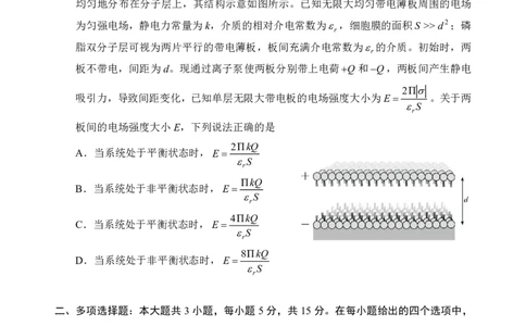 2026届言蹊八月联考物理试题_2025年8月_250809言蹊联考2025-2026学年新高三上学期毕业班适应性检测_言蹊八月联考2026届新高三毕业班适应性检测物理