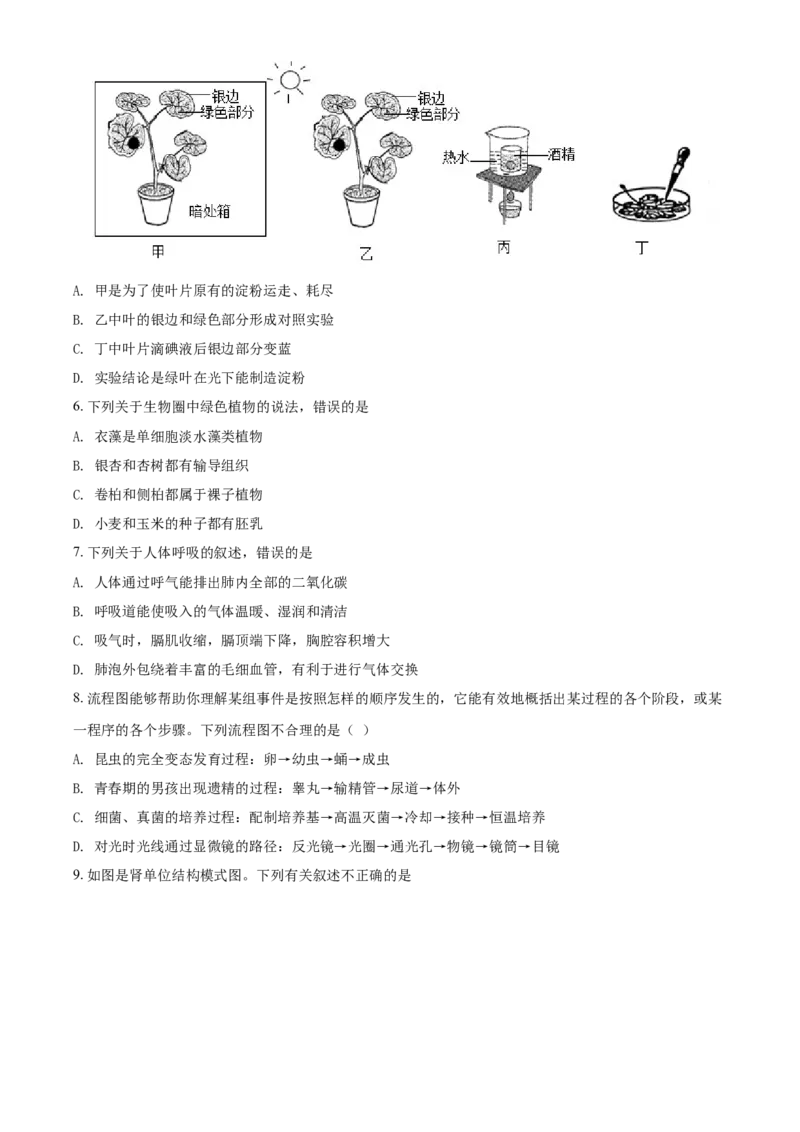 精品解析：山东省淄博市2021年中考生物试题（原卷版）_中考真题_8.生物中考真题2015-2024年_2021中考生物真题64份_2021山东省_精品解析：山东省淄博市2021年中考生物试题