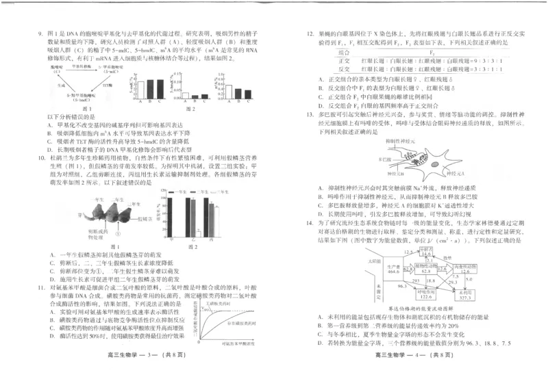 25年福州高三二检生物试卷_2025年2月_250209福州市2024-2025学年高三第二次质量检测（全科）_生物