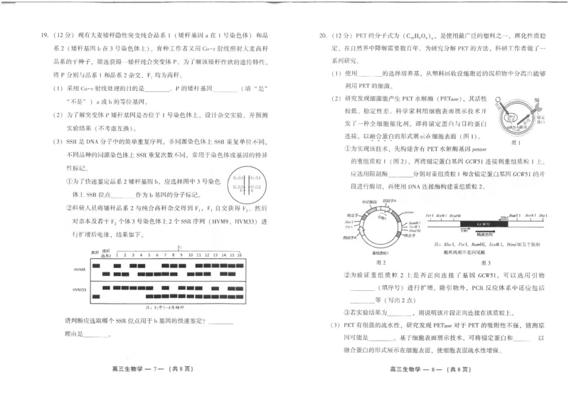 25年福州高三二检生物试卷_2025年2月_250209福州市2024-2025学年高三第二次质量检测（全科）_生物