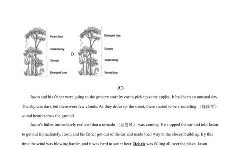 精品解析：浙江省宁波市2021年中考英语试题（原卷版）_中考真题_3.英语中考真题2015-2024年_2021中考英语真题86份_2021浙江_精品解析：浙江省宁波市2021年中考英语试题