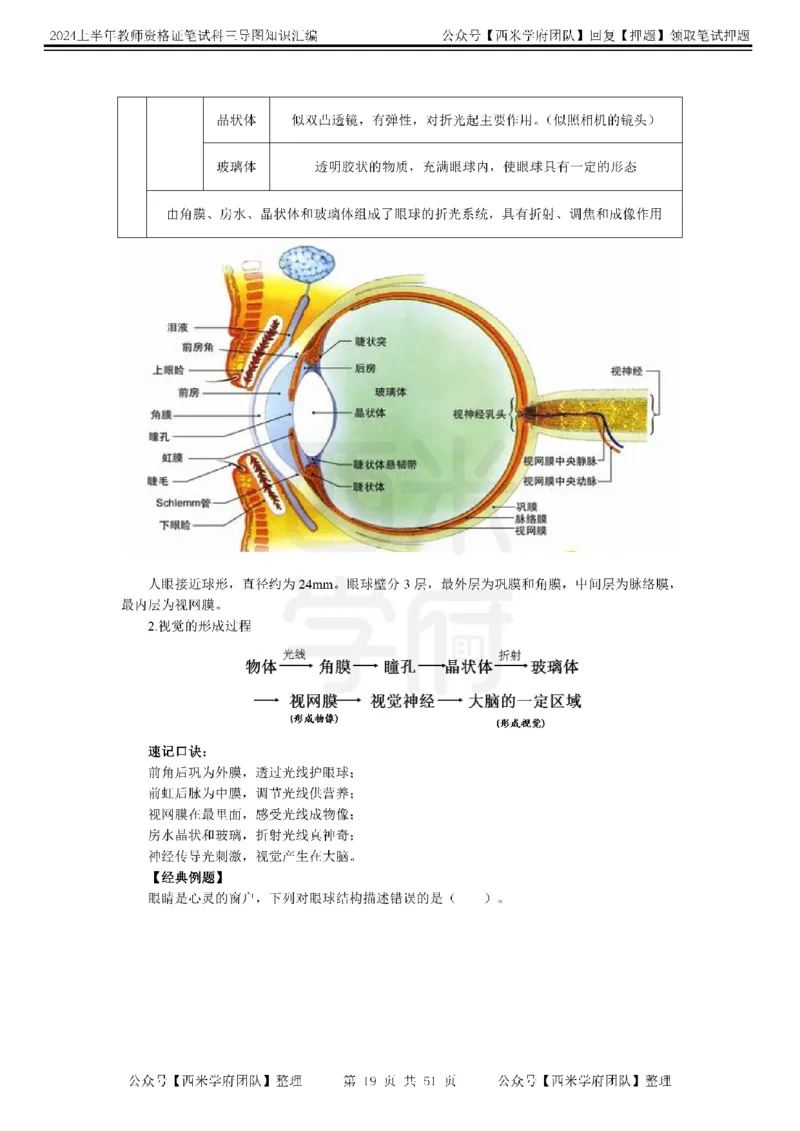 高中生物-知识导图汇编_4-教培资料-26年最新资料-同步更新_初中高中教资_03科三专项（进去保存报考的学科即可）_01科目三FB网课、三色速记手册、知识点导图等推荐_高中