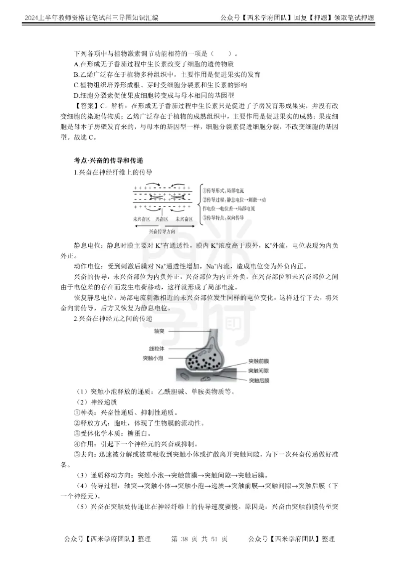 高中生物-知识导图汇编_4-教培资料-26年最新资料-同步更新_初中高中教资_03科三专项（进去保存报考的学科即可）_01科目三FB网课、三色速记手册、知识点导图等推荐_高中