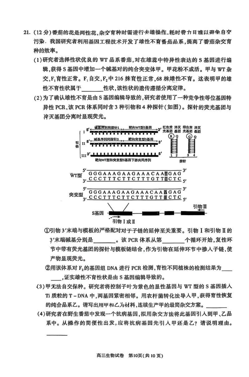 北京市朝阳区2025届高三年级第二学期3月质量检测一生物_2025年3月_250330北京市朝阳区2025届高三年级第二学期3月质量检测一（一模）（全科）