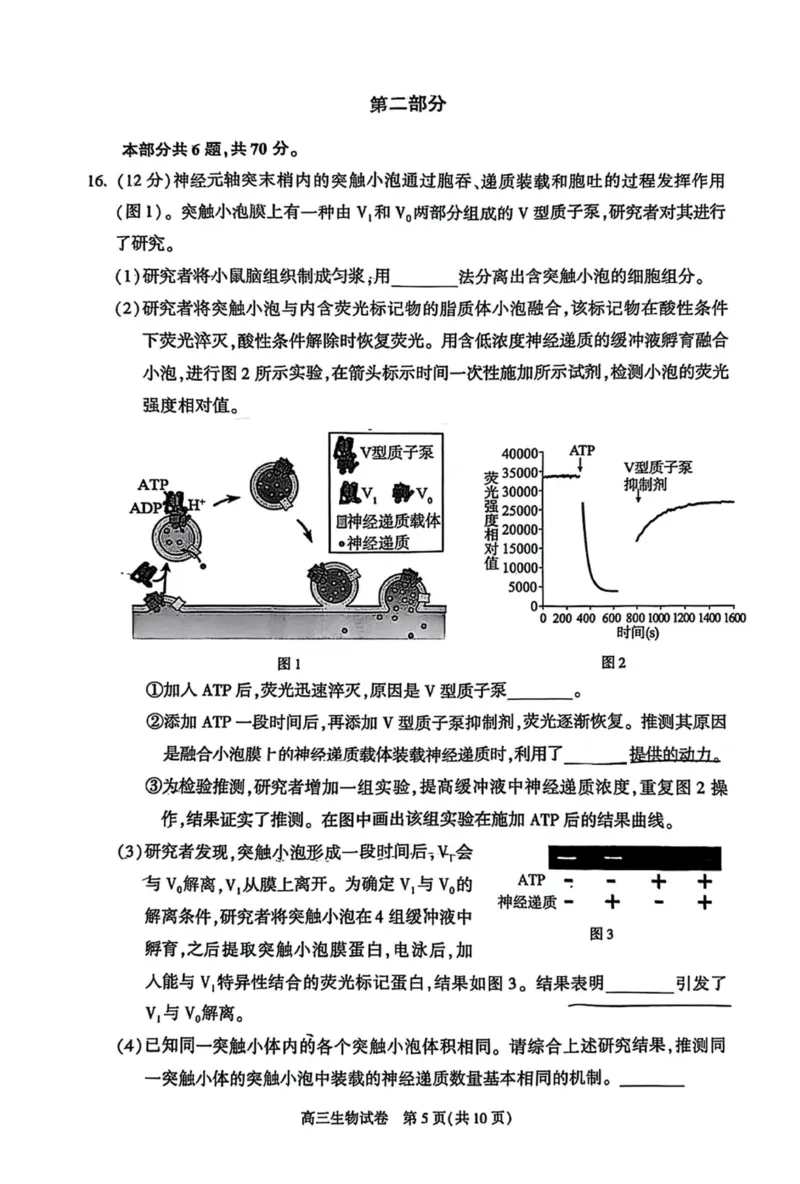 北京市朝阳区2025届高三年级第二学期3月质量检测一生物_2025年3月_250330北京市朝阳区2025届高三年级第二学期3月质量检测一（一模）（全科）