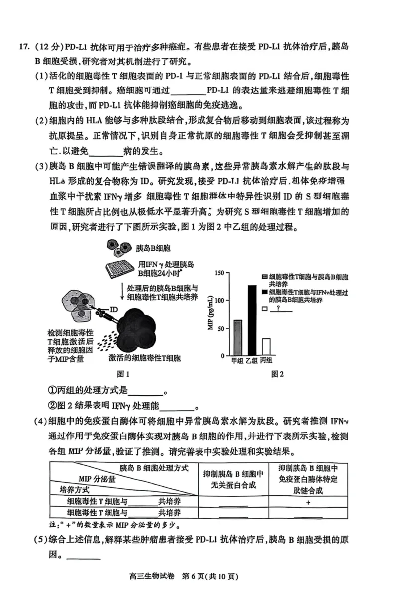 北京市朝阳区2025届高三年级第二学期3月质量检测一生物_2025年3月_250330北京市朝阳区2025届高三年级第二学期3月质量检测一（一模）（全科）