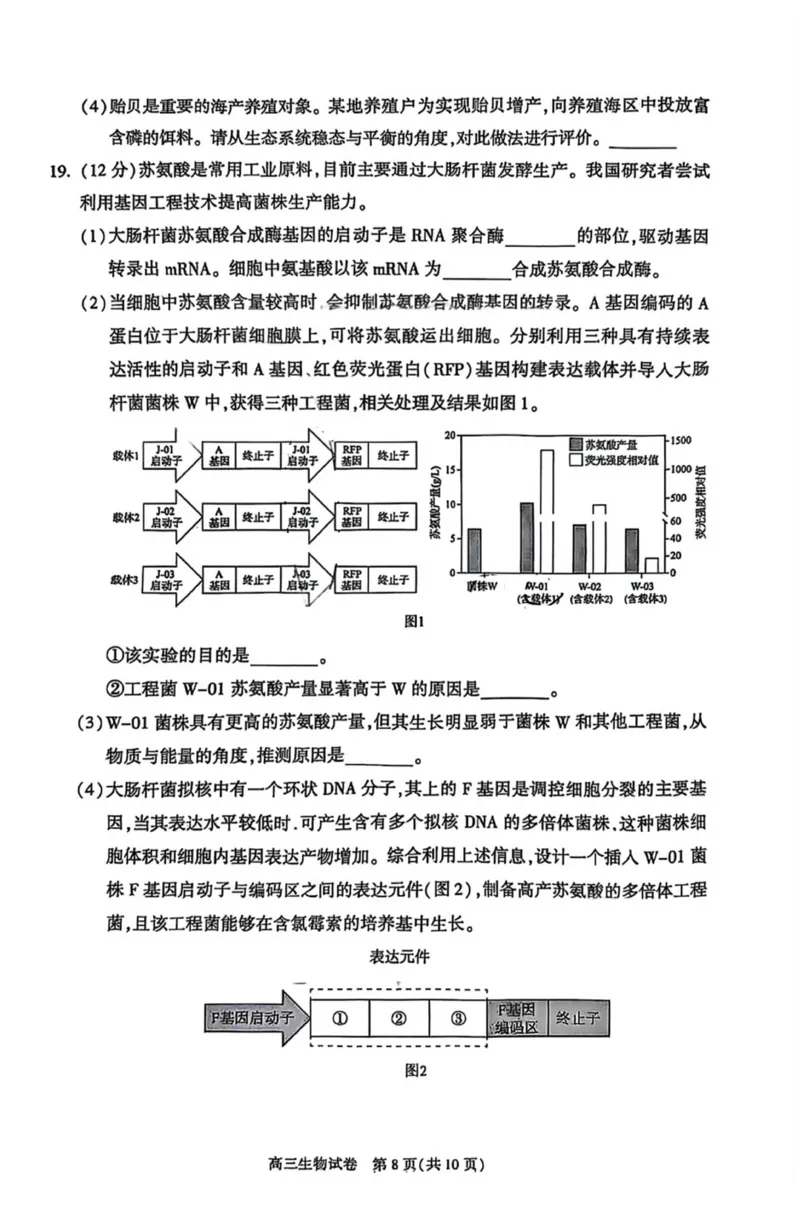 北京市朝阳区2025届高三年级第二学期3月质量检测一生物_2025年3月_250330北京市朝阳区2025届高三年级第二学期3月质量检测一（一模）（全科）