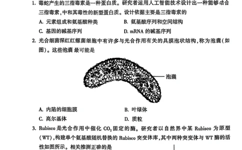 北京市朝阳区2025届高三年级第二学期3月质量检测一生物_2025年3月_250330北京市朝阳区2025届高三年级第二学期3月质量检测一（一模）（全科）
