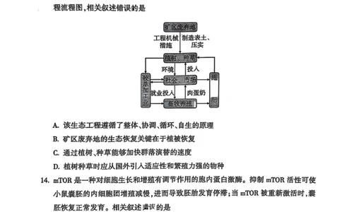 北京市朝阳区2025届高三年级第二学期3月质量检测一生物_2025年3月_250330北京市朝阳区2025届高三年级第二学期3月质量检测一（一模）（全科）