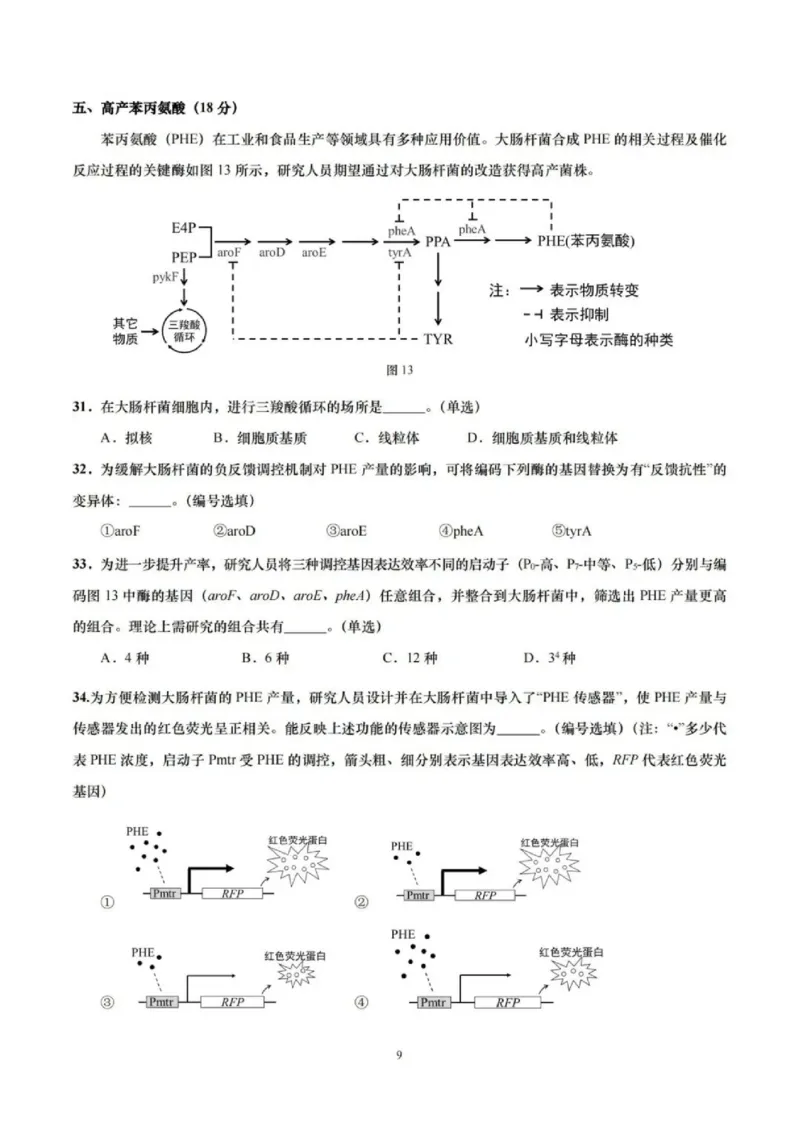 上海市崇明区2025届高三第二次模拟考试生物_2025年4月_250407上海市崇明区2025届高三第二次模拟考试_上海市崇明区2025届高三第二次模拟考试生物