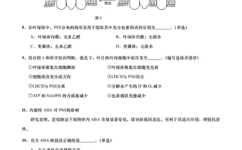 上海市崇明区2025届高三第二次模拟考试生物_2025年4月_250407上海市崇明区2025届高三第二次模拟考试_上海市崇明区2025届高三第二次模拟考试生物