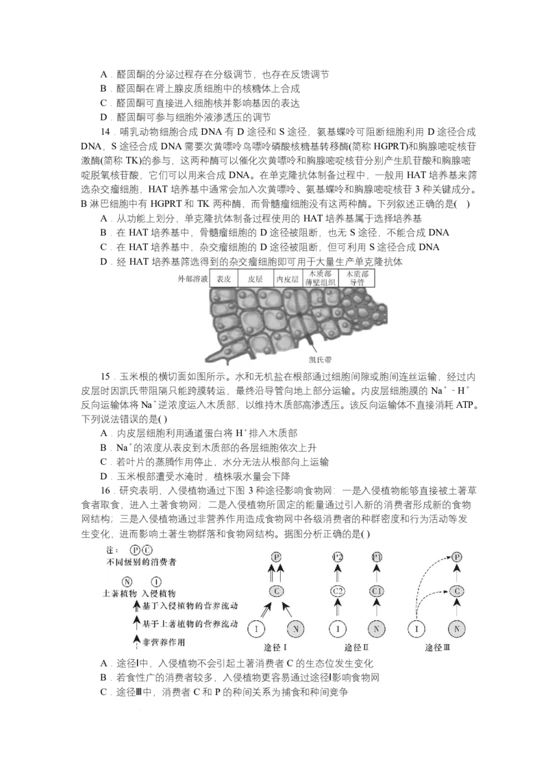 2025届湖南省长沙市湖南师范大学附属中学高三下学期模拟预测（一）生物试题_2025年4月_250418湖南师范大学附属中学2025届高三下学期4月模拟（一）（全科）