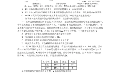 2025届湖南省长沙市湖南师范大学附属中学高三下学期模拟预测（一）生物试题_2025年4月_250418湖南师范大学附属中学2025届高三下学期4月模拟（一）（全科）