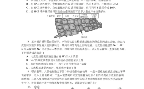 2025届湖南省长沙市湖南师范大学附属中学高三下学期模拟预测（一）生物试题_2025年4月_250418湖南师范大学附属中学2025届高三下学期4月模拟（一）（全科）
