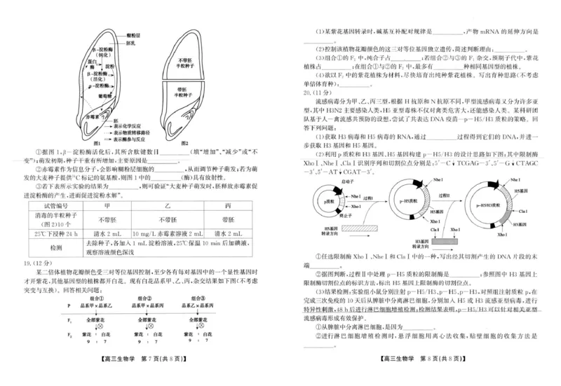 2025届安徽省高三下学期鼎尖预测大联考生物试题_2025年5月_2505132025届安徽省鼎尖名校联盟高三5月预测联考（全科）_2025届安徽省高三下学期鼎尖预测大联考生物试题