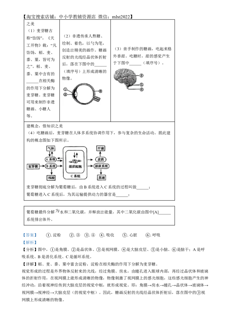 精品解析：2024年江西省中考生物真题（解析版）_中考真题_8.生物中考真题2015-2024年_2024年中考生物真题_精品解析：2024年江西省中考生物真题
