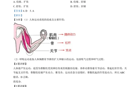 精品解析：2024年江西省中考生物真题（解析版）_中考真题_8.生物中考真题2015-2024年_2024年中考生物真题_精品解析：2024年江西省中考生物真题