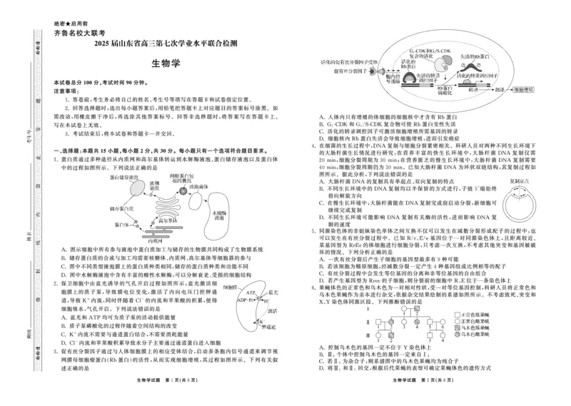 2025.4齐鲁名校大联考高三生物_2025年4月_250422山东省齐鲁名校大联考2025届高三第七次学业水平联合检测（全科）_齐鲁名校大联考2025届山东省高三第七次学业水平联合检测生物