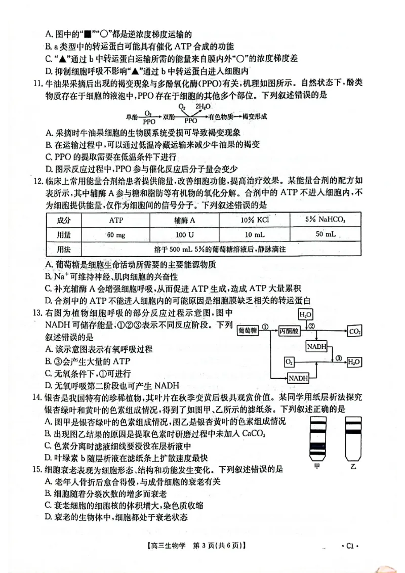 2025-2026年度上学期河南省高三年级第二次联考（26-37C）生物_2025年10月_251015河南省金太阳2025-2026年度上学期高三年级第二次联考（26-37C）（全科）
