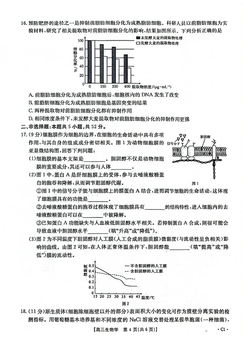 2025-2026年度上学期河南省高三年级第二次联考（26-37C）生物_2025年10月_251015河南省金太阳2025-2026年度上学期高三年级第二次联考（26-37C）（全科）