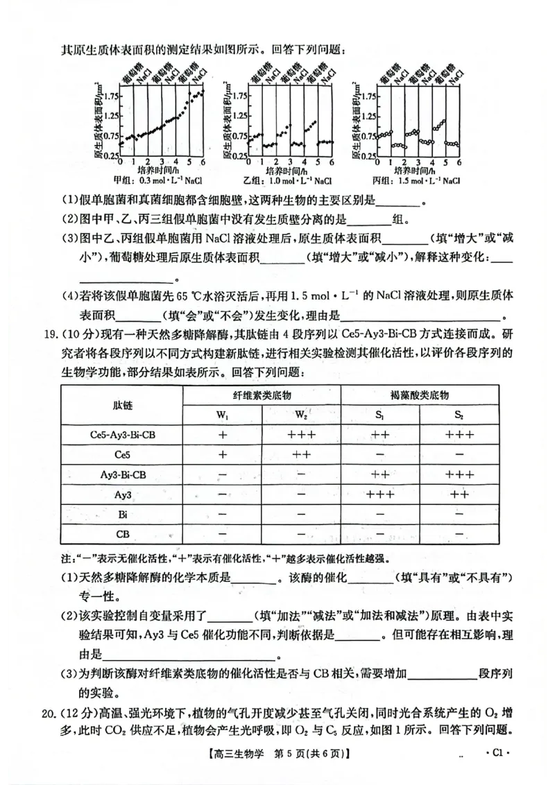 2025-2026年度上学期河南省高三年级第二次联考（26-37C）生物_2025年10月_251015河南省金太阳2025-2026年度上学期高三年级第二次联考（26-37C）（全科）