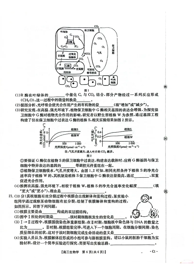 2025-2026年度上学期河南省高三年级第二次联考（26-37C）生物_2025年10月_251015河南省金太阳2025-2026年度上学期高三年级第二次联考（26-37C）（全科）