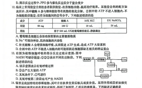 2025-2026年度上学期河南省高三年级第二次联考（26-37C）生物_2025年10月_251015河南省金太阳2025-2026年度上学期高三年级第二次联考（26-37C）（全科）
