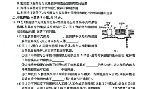 2025-2026年度上学期河南省高三年级第二次联考（26-37C）生物_2025年10月_251015河南省金太阳2025-2026年度上学期高三年级第二次联考（26-37C）（全科）