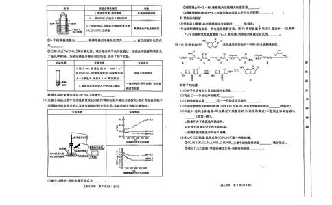 化学_2025年2月_2502182025届湖北省鄂东新领先协作体高三下学期2月调考（金太阳340C）（全科）_2025届湖北省鄂东新领先协作体高三下学期2月调考（二模）化学