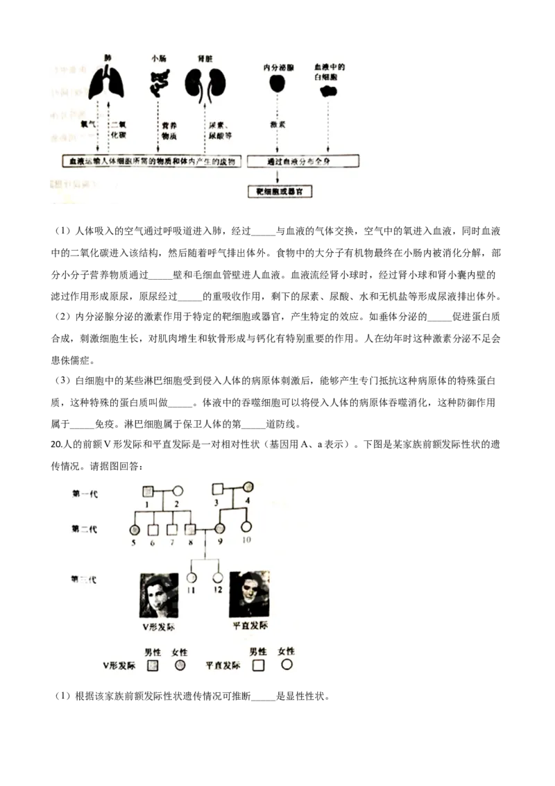 精品解析：山东省泰安市2020年中考生物试题（原卷版）_中考真题_8.生物中考真题2015-2024年_2020生物真题74份_2020年中考真题精品解析生物（山东泰安卷）精编word版