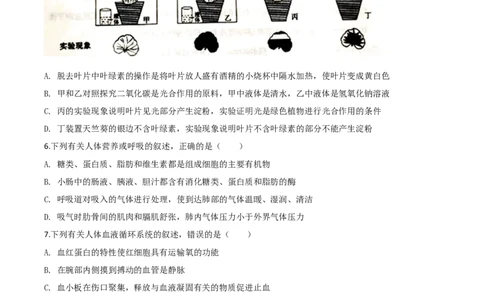 精品解析：山东省泰安市2020年中考生物试题（原卷版）_中考真题_8.生物中考真题2015-2024年_2020生物真题74份_2020年中考真题精品解析生物（山东泰安卷）精编word版