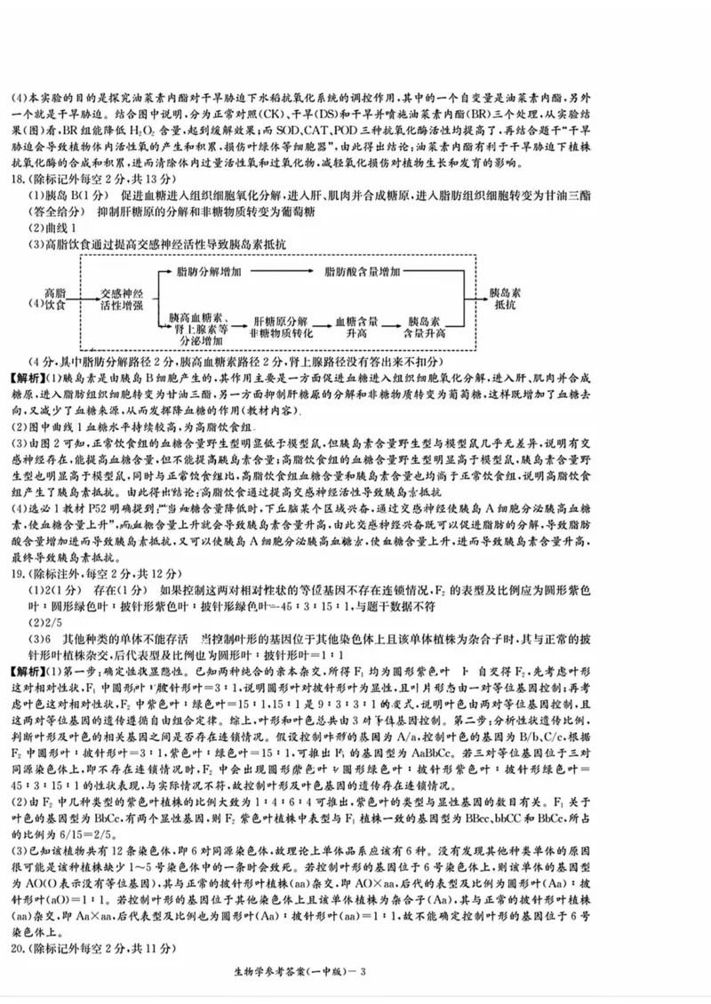 2025届湖南省长沙市第一中学高三下学期模拟（一）生物试题（含答案）_2025年5月_05022025届湖南省长沙市第一中学高三下学期模拟（一）