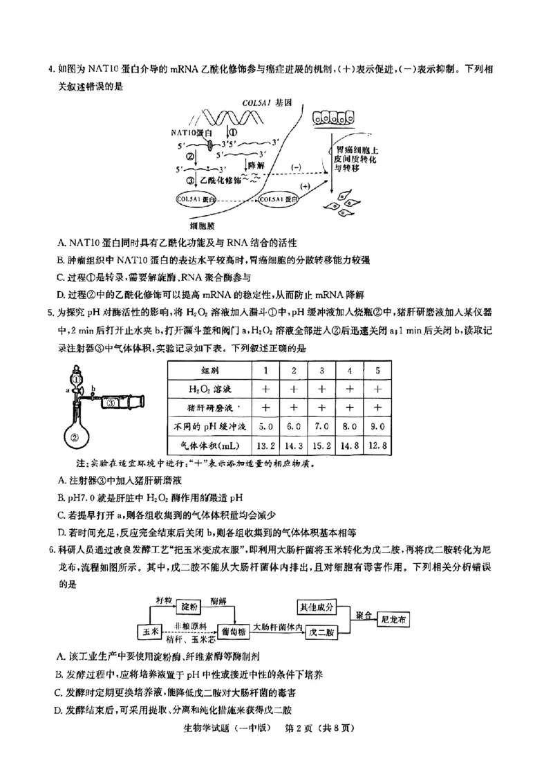 2025届湖南省长沙市第一中学高三下学期模拟（一）生物试题（含答案）_2025年5月_05022025届湖南省长沙市第一中学高三下学期模拟（一）