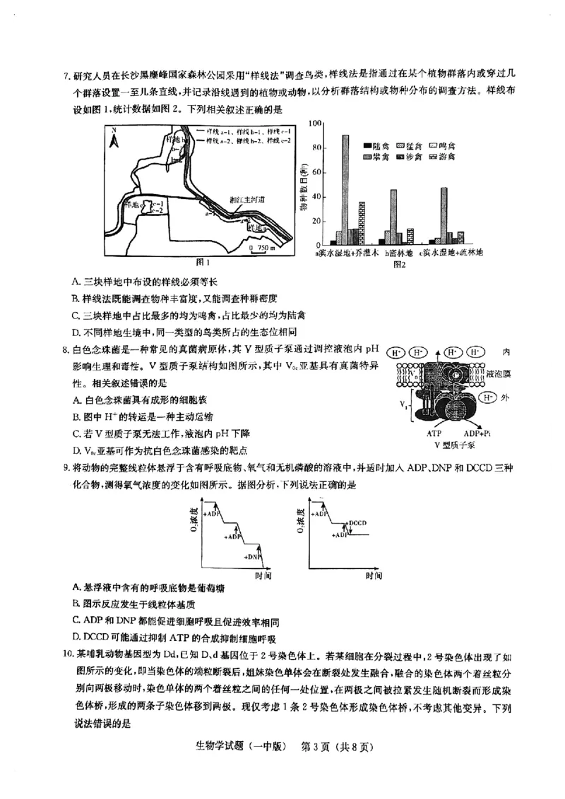 2025届湖南省长沙市第一中学高三下学期模拟（一）生物试题（含答案）_2025年5月_05022025届湖南省长沙市第一中学高三下学期模拟（一）