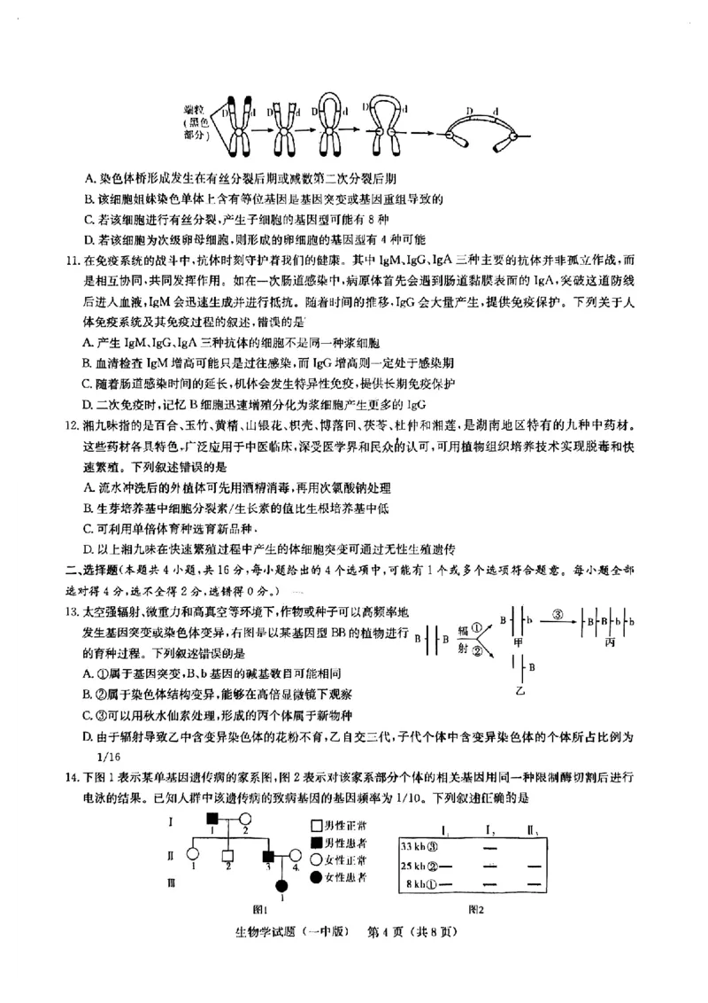 2025届湖南省长沙市第一中学高三下学期模拟（一）生物试题（含答案）_2025年5月_05022025届湖南省长沙市第一中学高三下学期模拟（一）