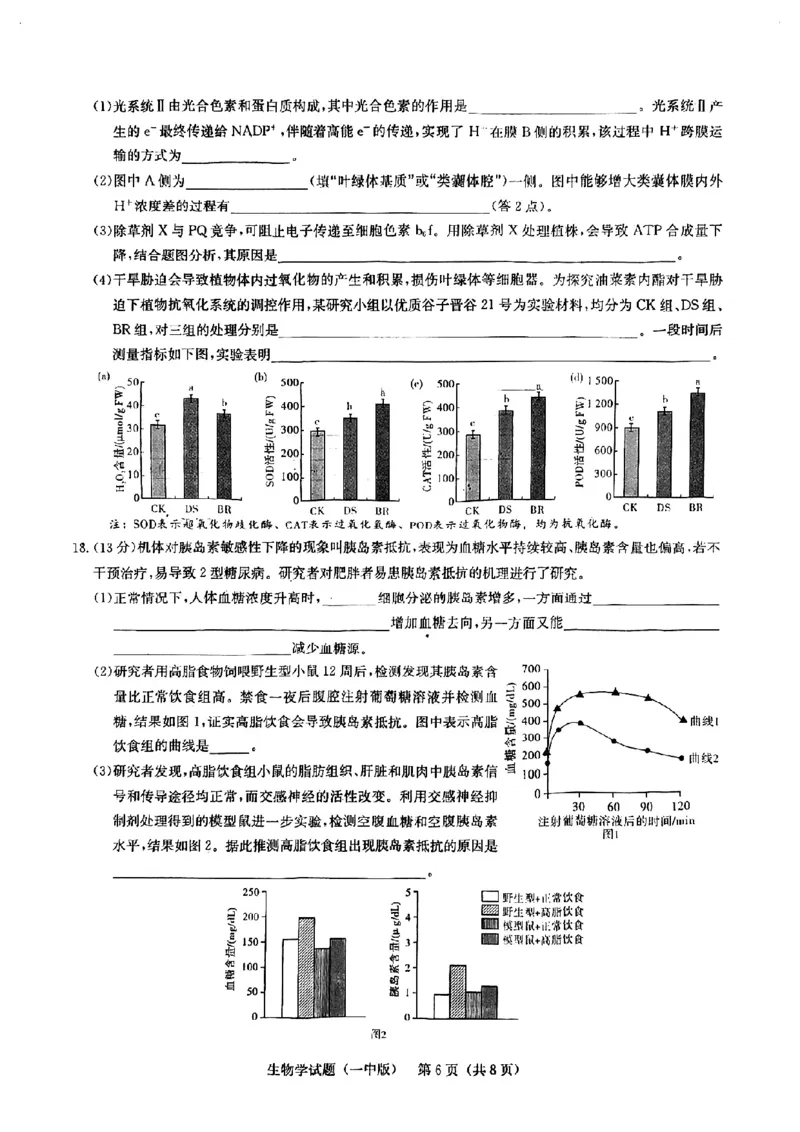 2025届湖南省长沙市第一中学高三下学期模拟（一）生物试题（含答案）_2025年5月_05022025届湖南省长沙市第一中学高三下学期模拟（一）