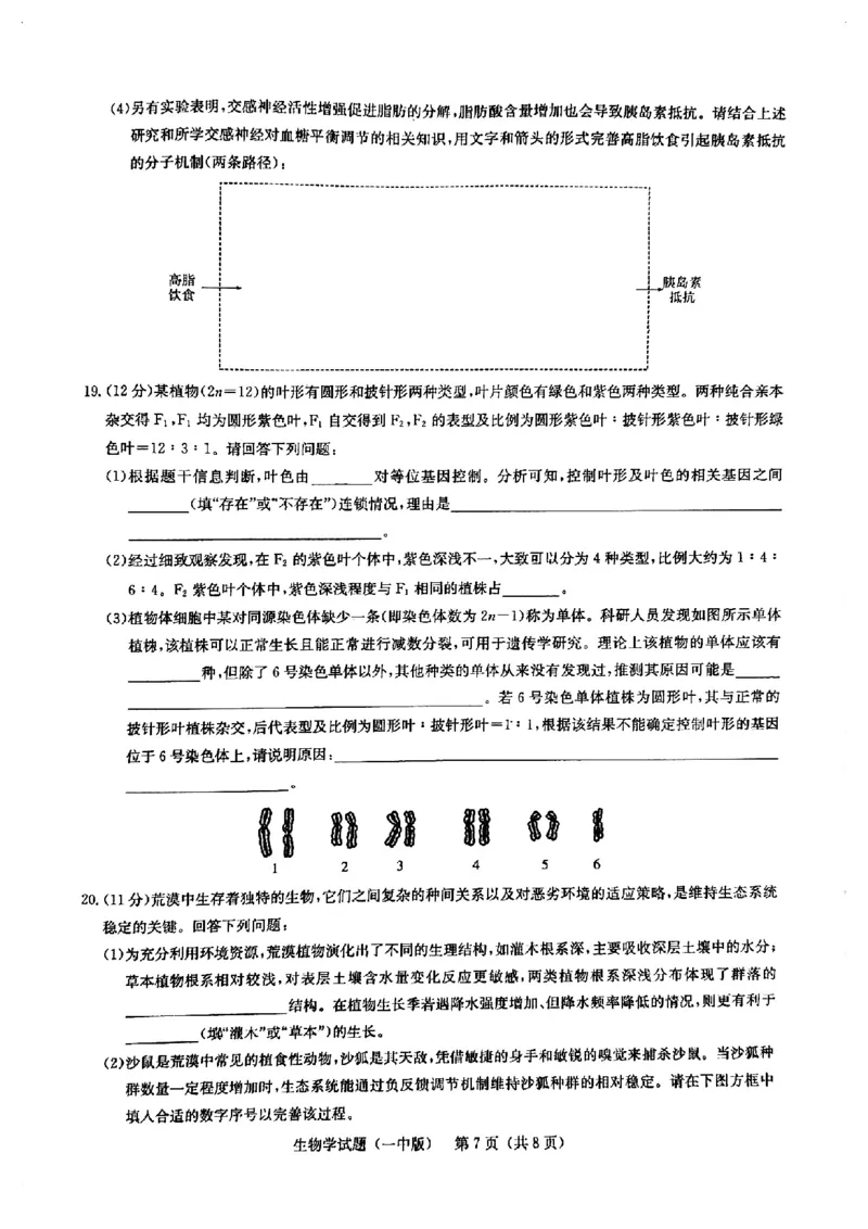 2025届湖南省长沙市第一中学高三下学期模拟（一）生物试题（含答案）_2025年5月_05022025届湖南省长沙市第一中学高三下学期模拟（一）