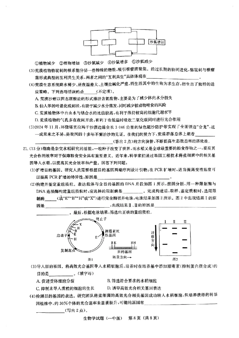 2025届湖南省长沙市第一中学高三下学期模拟（一）生物试题（含答案）_2025年5月_05022025届湖南省长沙市第一中学高三下学期模拟（一）