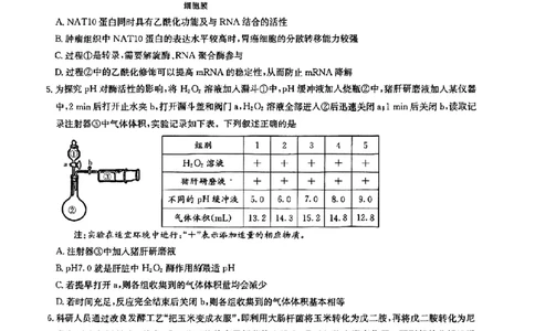 2025届湖南省长沙市第一中学高三下学期模拟（一）生物试题（含答案）_2025年5月_05022025届湖南省长沙市第一中学高三下学期模拟（一）