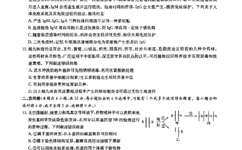 2025届湖南省长沙市第一中学高三下学期模拟（一）生物试题（含答案）_2025年5月_05022025届湖南省长沙市第一中学高三下学期模拟（一）