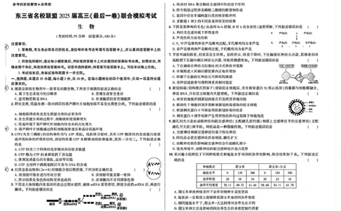 东三省名校联盟&rdquo;高考最后一卷&ldquo;2025届联合模拟考试生物试题（含答案）_2025年5月_250523东三省名校联盟高三下学期高考最后一卷联合模拟考试（全科）