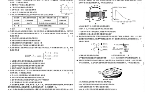 东三省名校联盟&rdquo;高考最后一卷&ldquo;2025届联合模拟考试生物试题（含答案）_2025年5月_250523东三省名校联盟高三下学期高考最后一卷联合模拟考试（全科）