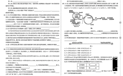 东三省名校联盟&rdquo;高考最后一卷&ldquo;2025届联合模拟考试生物试题（含答案）_2025年5月_250523东三省名校联盟高三下学期高考最后一卷联合模拟考试（全科）