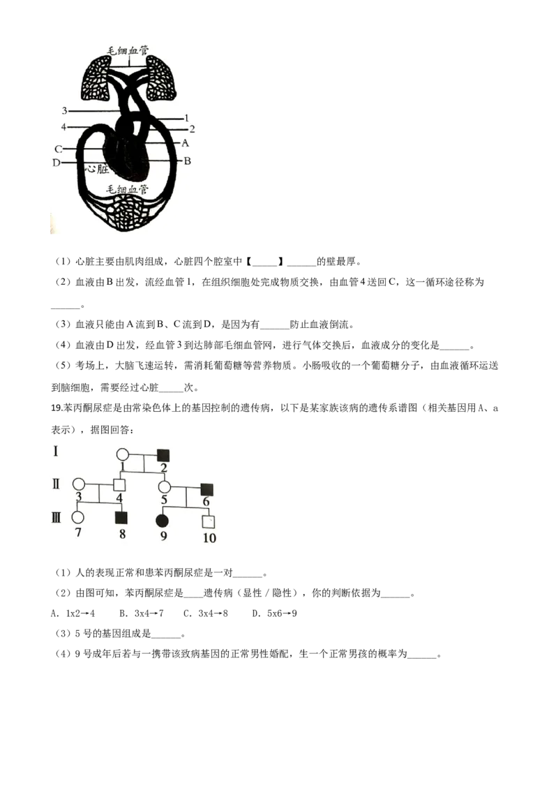 精品解析：四川省南充市2020年中考生物试题（原卷版）_中考真题_8.生物中考真题2015-2024年_2020生物真题74份_2020年中考真题精品解析生物（四川南充卷）精编word版