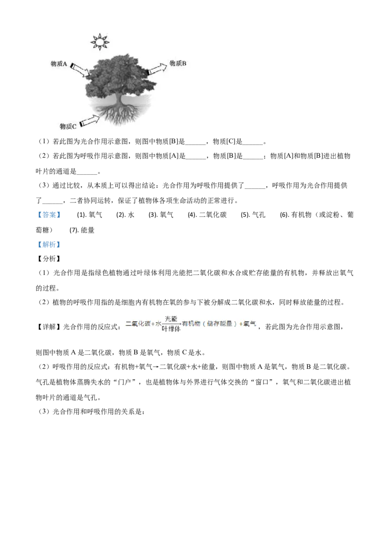 精品解析：山东省德州市2020中考生物试题（解析版）_中考真题_8.生物中考真题2015-2024年_2020生物真题74份_2020年中考真题精品解析生物（山东德州卷）精编word版